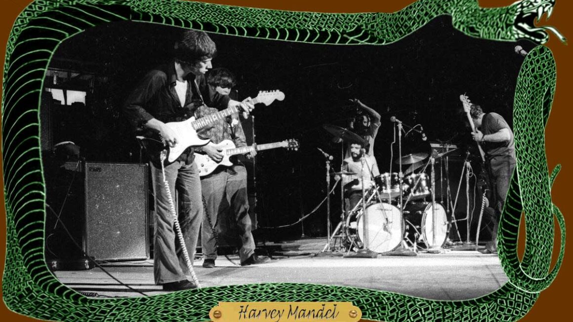 Harvey Mandel’s Canned Heat History Harvey "The Snake" Mandel